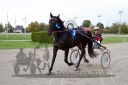 Dateiname=20181007_r09_115_R09_0042.jpg
Dateigröße=373KB
Abmessungen: 750x500
hinzugefügt am: 10. Oktober 2018 20181007_r09_115_R09_0042.jpg