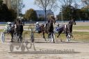 Dateiname=20181021_pqw2_002_QU2_0004.jpg
Dateigröße=212KB
Abmessungen: 750x500
hinzugefügt am: 22. Oktober 2018 20181021_pqw2_002_QU2_0004.jpg