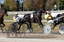 Dateiname=20181021_pqw3_034_QU3_0059.jpg
Dateigröße=200KB
Abmessungen: 750x500
hinzugefügt am: 22. Oktober 2018 20181021_pqw3_034_QU3_0059.jpg