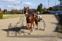 Dateiname=20181021_r01_074_R01_0047.jpg
Dateigröße=198KB
Abmessungen: 750x500
hinzugefügt am: 22. Oktober 2018 20181021_r01_074_R01_0047.jpg