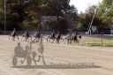 Dateiname=20181021_r02_087_R02_0128.jpg
Dateigröße=204KB
Abmessungen: 750x500
hinzugefügt am: 22. Oktober 2018 20181021_r02_087_R02_0128.jpg