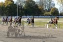 Dateiname=20181021_r03_083_R03_0138.jpg
Dateigröße=240KB
Abmessungen: 750x500
hinzugefügt am: 23. Oktober 2018 20181021_r03_083_R03_0138.jpg