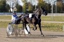 Dateiname=20181021_r06_022_R06_0026.jpg
Dateigröße=198KB
Abmessungen: 750x500
hinzugefügt am: 23. Oktober 2018 20181021_r06_022_R06_0026.jpg