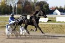Dateiname=20181021_r06_038_R06_0063.jpg
Dateigröße=195KB
Abmessungen: 750x500
hinzugefügt am: 23. Oktober 2018 20181021_r06_038_R06_0063.jpg