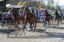 Dateiname=20181026_r03_044_R03_0073.jpg
Dateigröße=304KB
Abmessungen: 750x500
hinzugefügt am: 30. Oktober 2018 20181026_r03_044_R03_0073.jpg
