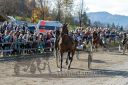 Dateiname=20181026_r04_070_R04_0126.jpg
Dateigröße=264KB
Abmessungen: 750x500
hinzugefügt am: 30. Oktober 2018 20181026_r04_070_R04_0126.jpg