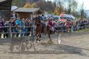 Dateiname=20181026_r06_088_R07_0153.jpg
Dateigröße=272KB
Abmessungen: 750x500
hinzugefügt am: 30. Oktober 2018 20181026_r06_088_R07_0153.jpg