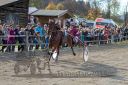 Dateiname=20181026_r06_089_R07_0154.jpg
Dateigröße=284KB
Abmessungen: 750x500
hinzugefügt am: 30. Oktober 2018 20181026_r06_089_R07_0154.jpg
