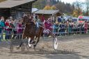 Dateiname=20181026_r06_091_R07_0156.jpg
Dateigröße=274KB
Abmessungen: 750x500
hinzugefügt am: 30. Oktober 2018 20181026_r06_091_R07_0156.jpg