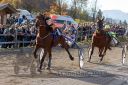 Dateiname=20181026_r08_093_R08_0317.jpg
Dateigröße=280KB
Abmessungen: 750x500
hinzugefügt am: 30. Oktober 2018 20181026_r08_093_R08_0317.jpg
