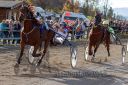 Dateiname=20181026_r08_095_R08_0319.jpg
Dateigröße=279KB
Abmessungen: 750x500
hinzugefügt am: 30. Oktober 2018 20181026_r08_095_R08_0319.jpg