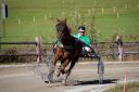 Dateiname=20181026_ja_001_100CANON_IMG_0002.jpg
Dateigröße=121KB
Abmessungen: 750x500
hinzugefügt am: 29. Oktober 2018 20181026_ja_001_100CANON_IMG_0002.jpg