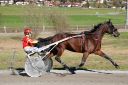 Dateiname=20181026_ja_002_100CANON_IMG_0008.jpg
Dateigröße=123KB
Abmessungen: 750x500
hinzugefügt am: 29. Oktober 2018 20181026_ja_002_100CANON_IMG_0008.jpg