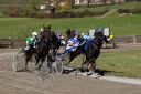 Dateiname=20181026_ja_016_100CANON_IMG_0055.jpg
Dateigröße=132KB
Abmessungen: 750x500
hinzugefügt am: 29. Oktober 2018 20181026_ja_016_100CANON_IMG_0055.jpg
