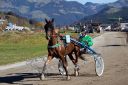 Dateiname=20181026_ja_073_102CANON_IMG_0039.jpg
Dateigröße=133KB
Abmessungen: 750x500
hinzugefügt am: 29. Oktober 2018 20181026_ja_073_102CANON_IMG_0039.jpg