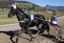 Dateiname=20181026_ja_115_103CANON_IMG_0058.jpg
Dateigröße=135KB
Abmessungen: 750x500
hinzugefügt am: 29. Oktober 2018 20181026_ja_115_103CANON_IMG_0058.jpg
