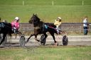 Dateiname=20181026_ja_118_103CANON_IMG_0071.jpg
Dateigröße=118KB
Abmessungen: 750x500
hinzugefügt am: 29. Oktober 2018 20181026_ja_118_103CANON_IMG_0071.jpg