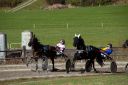 Dateiname=20181026_ja_123_103CANON_IMG_0096.jpg
Dateigröße=115KB
Abmessungen: 750x500
hinzugefügt am: 29. Oktober 2018 20181026_ja_123_103CANON_IMG_0096.jpg