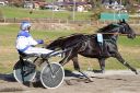 Dateiname=20181026_ja_124_103CANON_IMG_0107.jpg
Dateigröße=126KB
Abmessungen: 750x500
hinzugefügt am: 29. Oktober 2018 20181026_ja_124_103CANON_IMG_0107.jpg