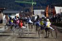 Dateiname=20181026_ja_125_103CANON_IMG_0117.jpg
Dateigröße=137KB
Abmessungen: 750x500
hinzugefügt am: 29. Oktober 2018 20181026_ja_125_103CANON_IMG_0117.jpg