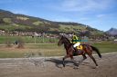 Dateiname=20181026_ja_137_103CANON_IMG_0152.jpg
Dateigröße=103KB
Abmessungen: 750x500
hinzugefügt am: 29. Oktober 2018 20181026_ja_137_103CANON_IMG_0152.jpg