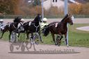 Dateiname=20181104_pqw2_007_QU1_0051.jpg
Dateigröße=184KB
Abmessungen: 750x500
hinzugefügt am: 06. November 2018 20181104_pqw2_007_QU1_0051.jpg