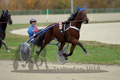 20181104_pqw3_022_QU3_0037.jpg