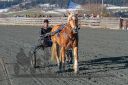 Dateiname=20181226_r02_011_R02_0018.jpg
Dateigröße=503KB
Abmessungen: 750x500
hinzugefügt am: 27. Dezember 2018 20181226_r02_011_R02_0018.jpg