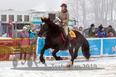 20190101_r03_113_R03_0162.jpg