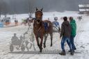 Dateiname=20190101_r06_097_R06_0182.jpg
Dateigröße=123KB
Abmessungen: 750x500
hinzugefügt am: 03. Januar 2019 20190101_r06_097_R06_0182.jpg