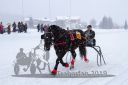 Dateiname=20190106_r06_047_R06_0091.jpg
Dateigröße=101KB
Abmessungen: 750x500
hinzugefügt am: 08. Januar 2019 20190106_r06_047_R06_0091.jpg