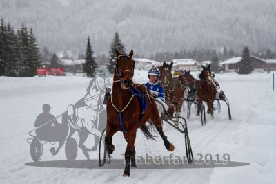 20190106_r08_041_R08_0086.jpg