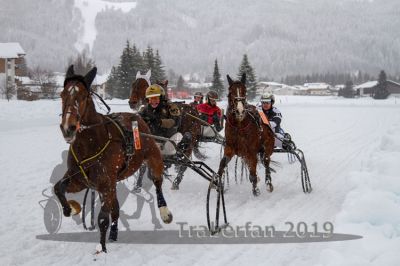 20190106_r08_045_R08_0093.jpg