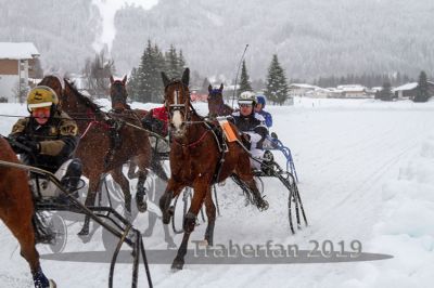 20190106_r08_046_R08_0095.jpg