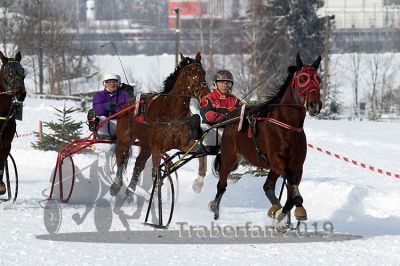20190127_r01_036_R01_0059.jpg