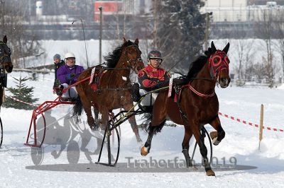 20190127_r01_037_R01_0060.jpg