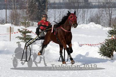 20190127_r01_051_R01_0086.jpg