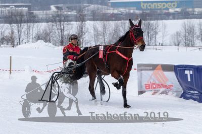 20190127_r02_077_R02_0131.jpg