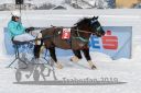 Dateiname=20190127_r03_010_R03_0003.jpg
Dateigröße=179KB
Abmessungen: 750x500
hinzugefügt am: 29. Januar 2019 20190127_r03_010_R03_0003.jpg