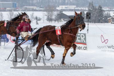 20190127_r04_091_R04_0160.jpg
