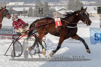 20190127_r05_077_R05_0131.jpg