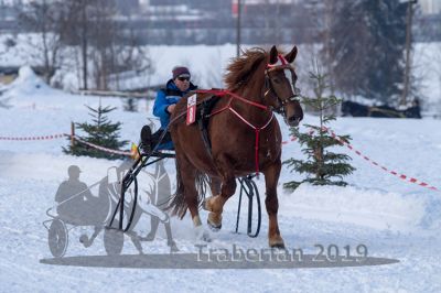 20190127_r08_024_R08_0034.jpg