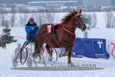20190127_r08_027_R08_0040.jpg