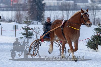 20190127_r08_031_R08_0047.jpg