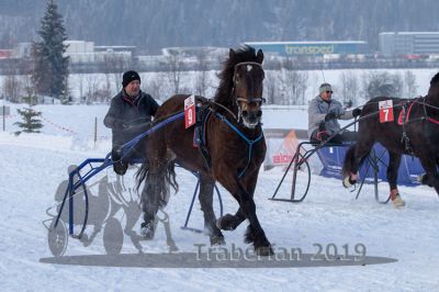 20190127_r08_036_R08_0057.jpg