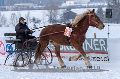 20190127_r08_039_R08_0061.jpg