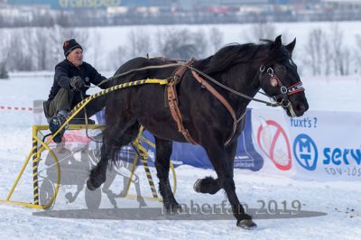 20190127_r08_040_R08_0063.jpg