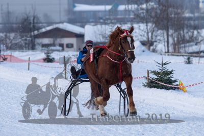 20190127_r08_041_R08_0066.jpg