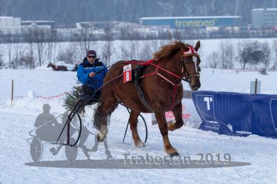 20190127_r08_046_R08_0072.jpg