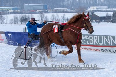 20190127_r08_051_R08_0077.jpg